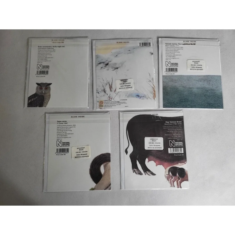 Natural History Museum Animal Greeting Cards Set of 5 Owl Hare Turtle Monkey OS